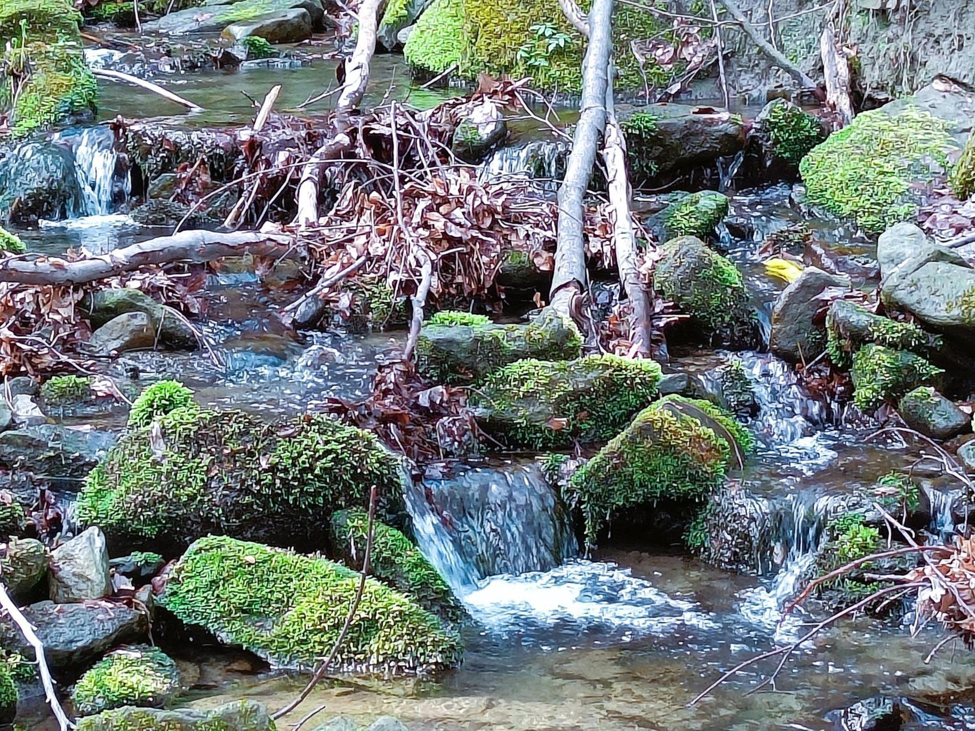 Modry Domek Szczyrk Bagian luar foto